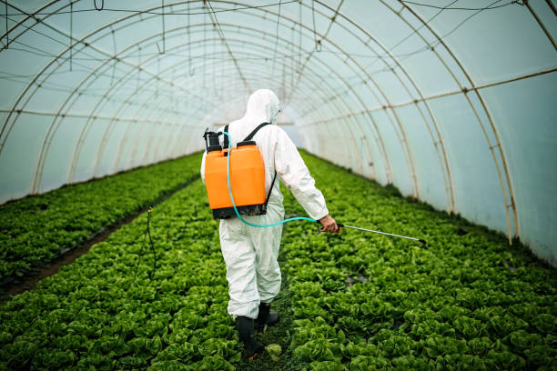 Best Mosquito Control Services  in Mount Olive, NC