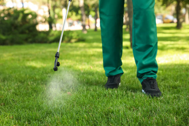 Best Cockroach Control Services  in Mount Olive, NC