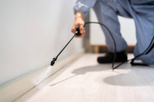Reliable Mount Olive, NC Pest Control Solutions